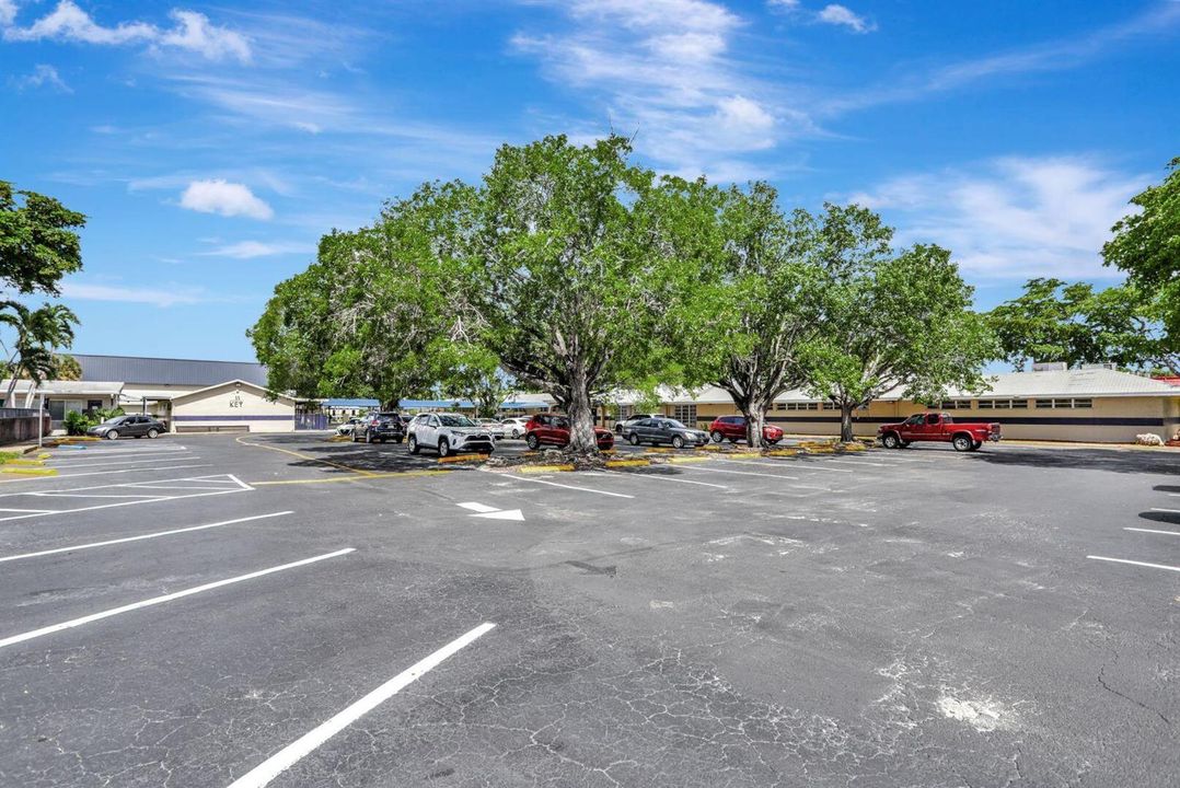 Parking Lot facing W