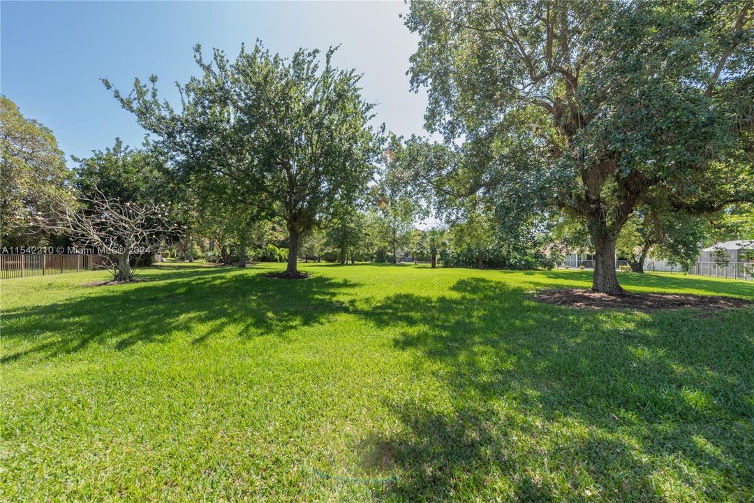 Luscious green space behind fenced yard