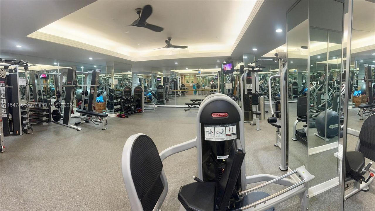 Fully equipped cardio & lifting gym.