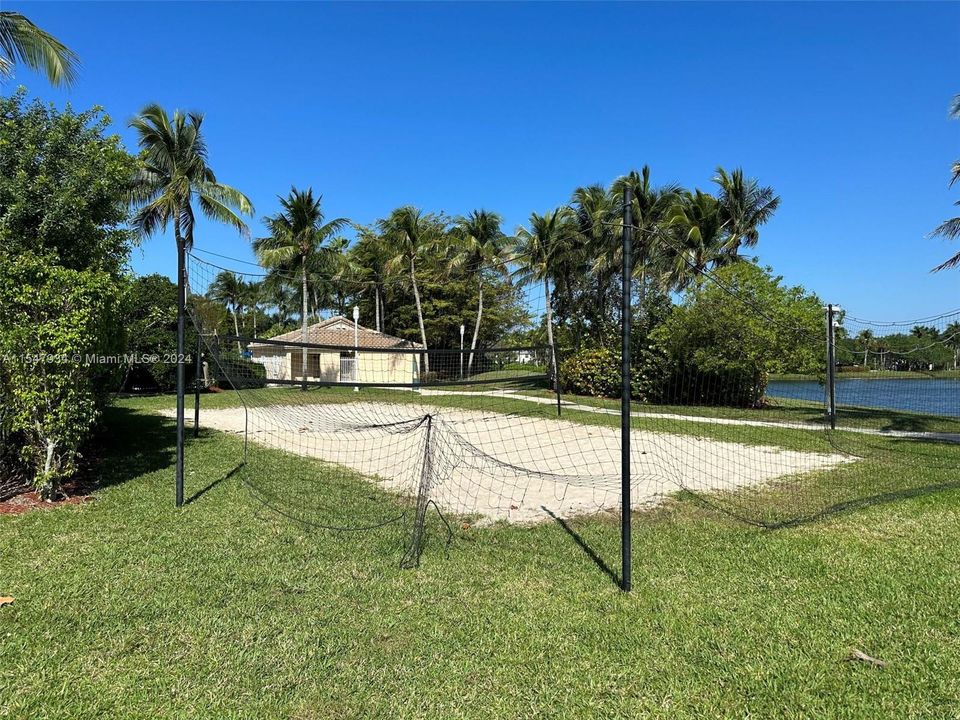 Volleyball Court