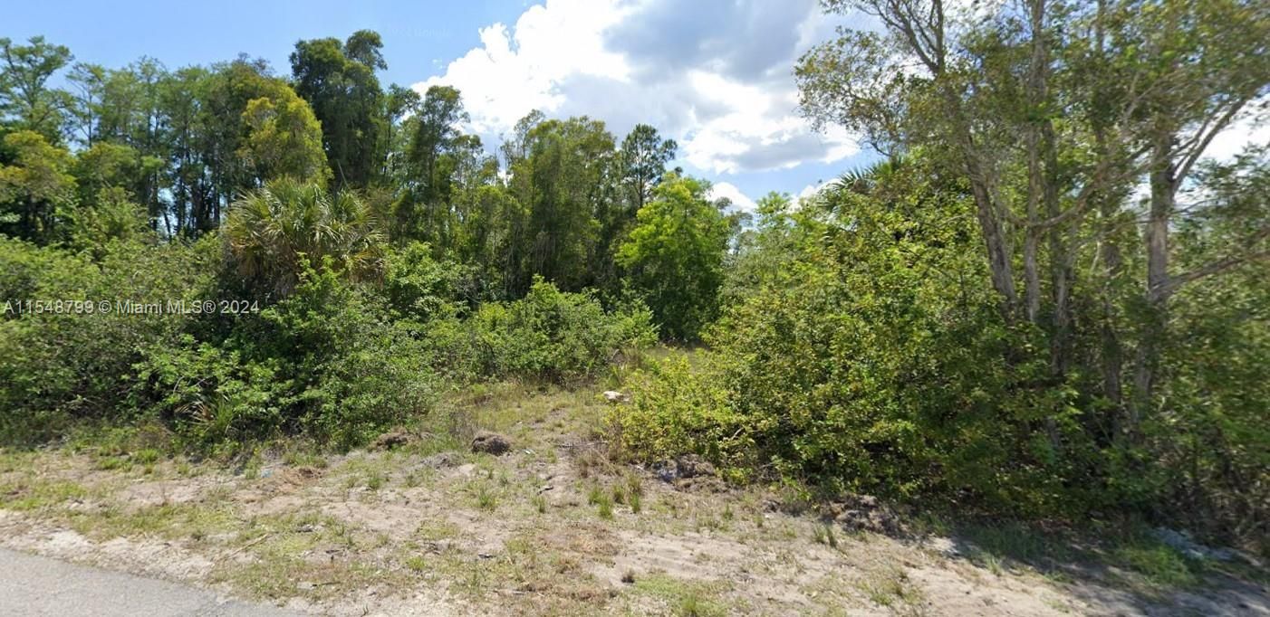 For Sale: $45,000 (0.36 acres)
