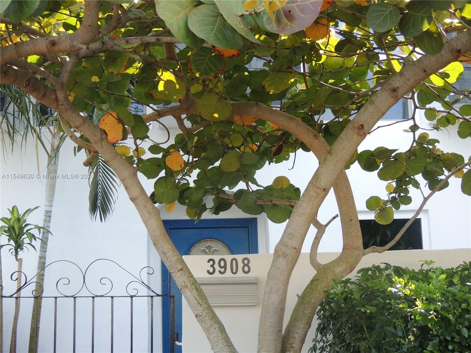 Recently Rented: $3,000 (3 beds, 2 baths, 1440 Square Feet)