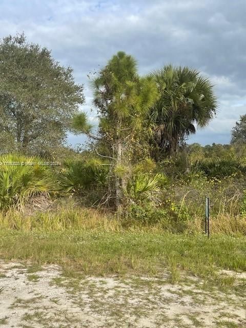 Recently Sold: $48,000 (1.25 acres)