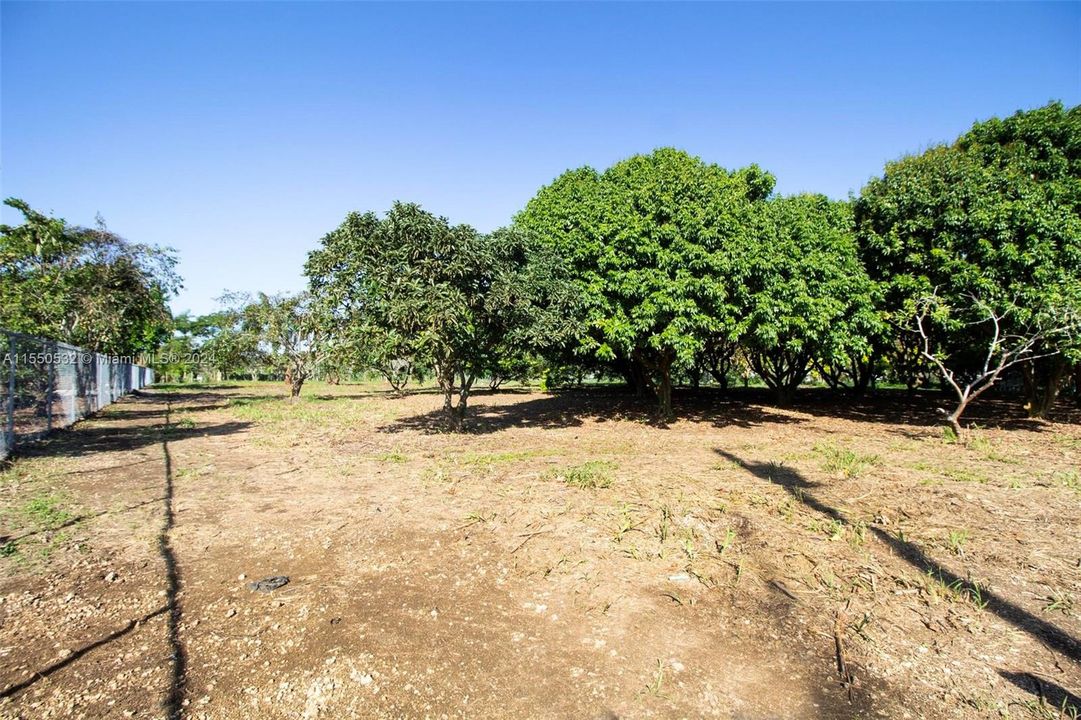 For Sale: $350,000 (1.25 acres)