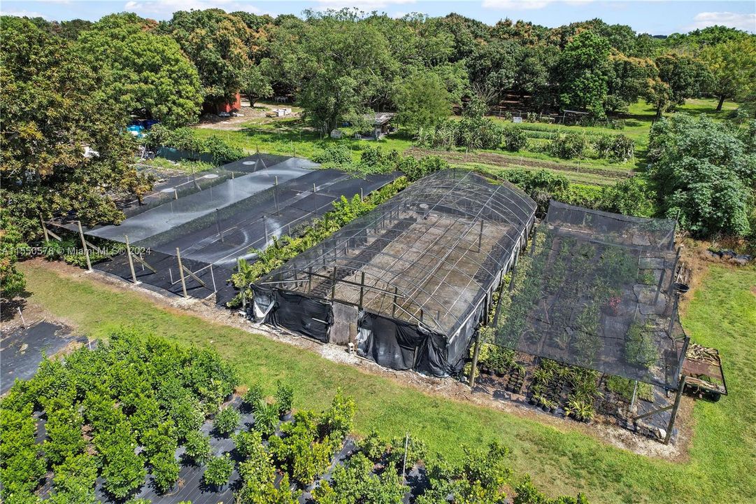 THIS IS THE SAMALLER SHADE HOUSE HIDING BEHIND FRUIT TREES