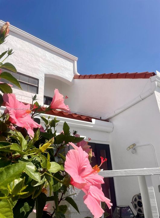 Recently Sold: $560,000 (3 beds, 2 baths, 1365 Square Feet)