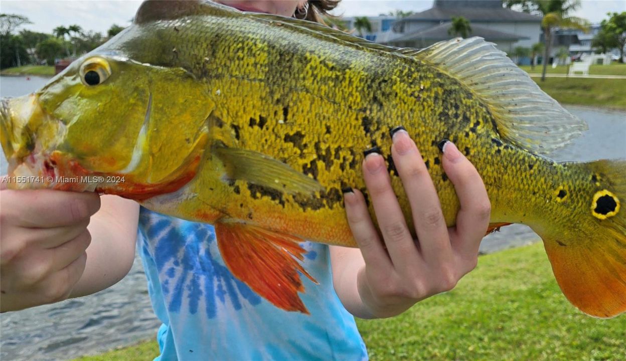 Fish caught in lake