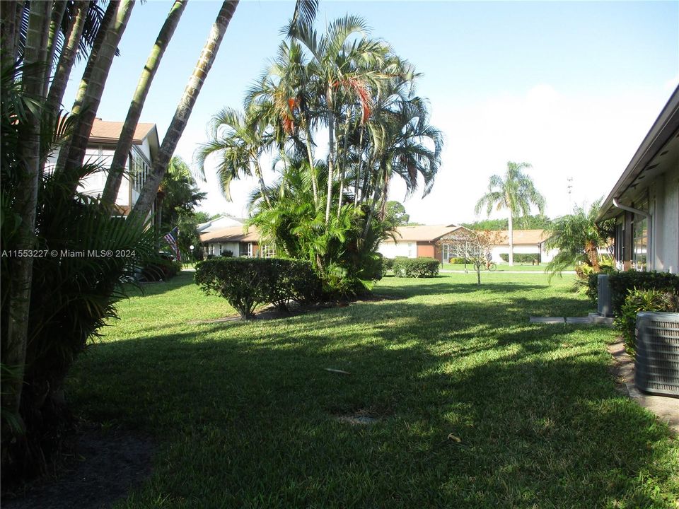 VIEW FROM PATIO OF TROPICAL PALM TREES