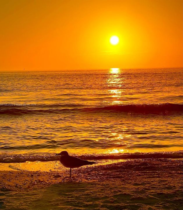 Recently Rented: $3,500 (3 beds, 2 baths, 0 Square Feet)