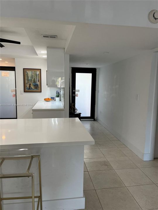 Hurricane impact front door