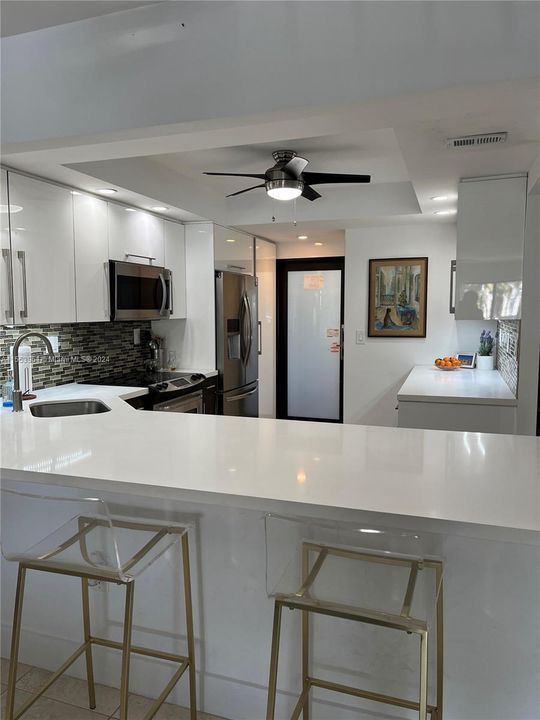 Hurricane impact doors