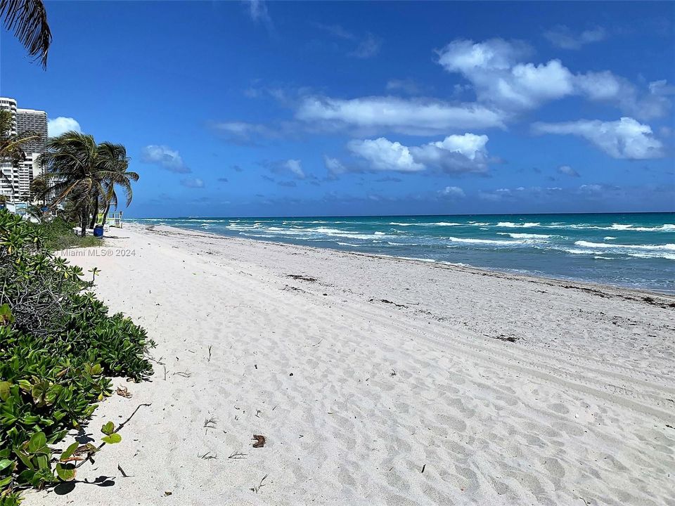 Beach view