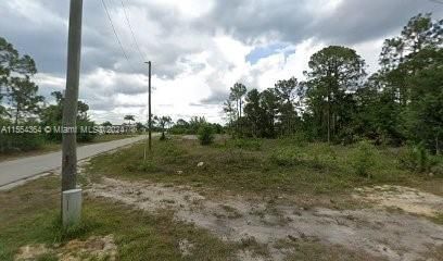 For Sale: $29,000 (0.25 acres)
