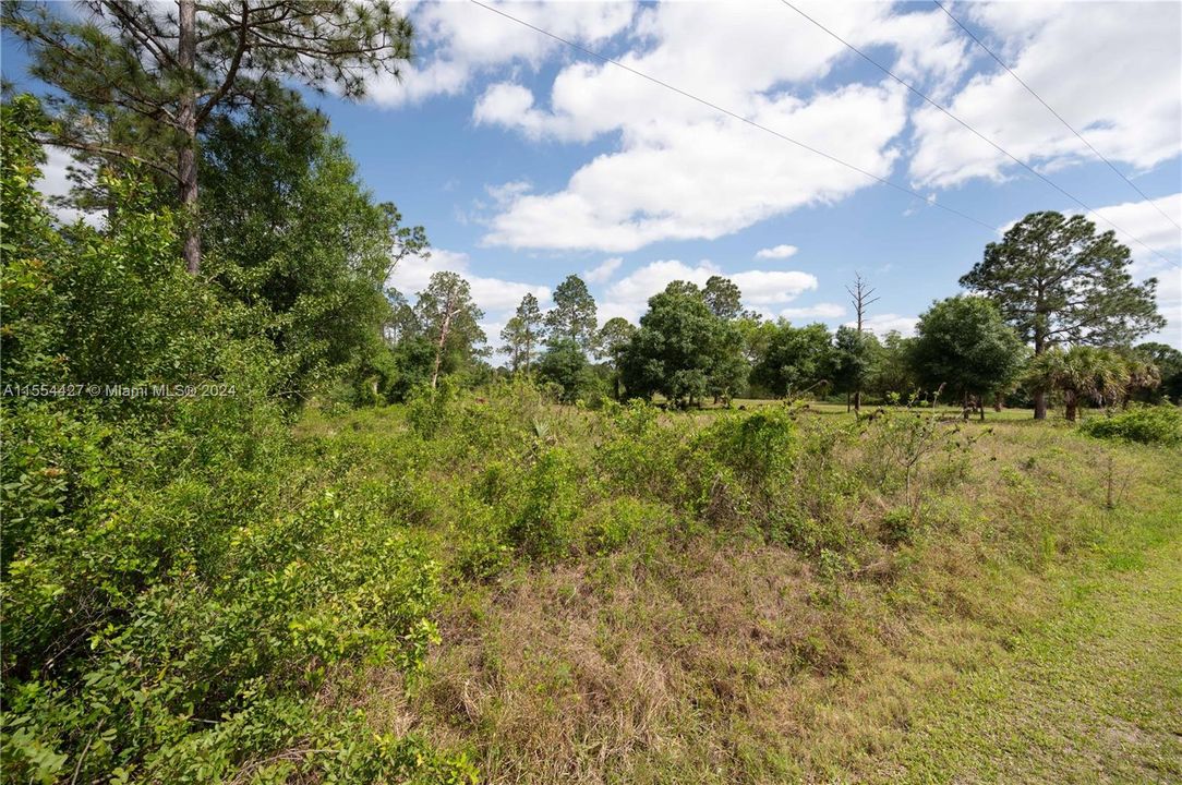 Vendido Recientemente: $50,000 (1.25 acres)