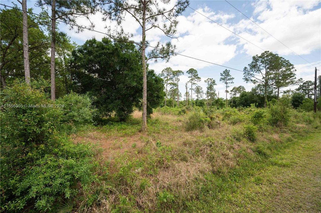Recently Sold: $50,000 (1.25 acres)