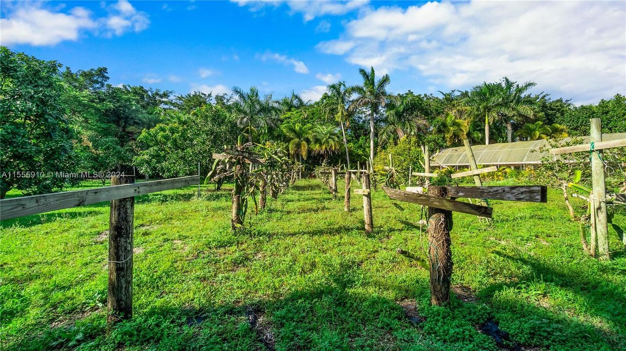 待售: $14,250,000 (10 贝兹, 10 浴室, 27808 平方英尺)