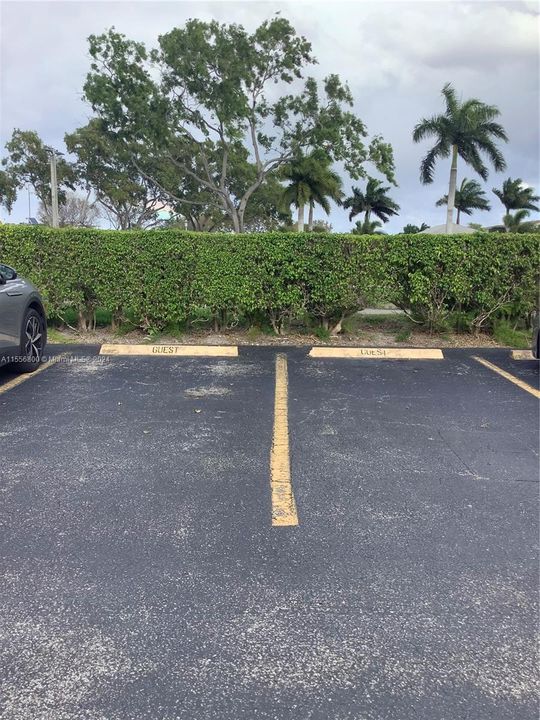 Lots of Guest Parking