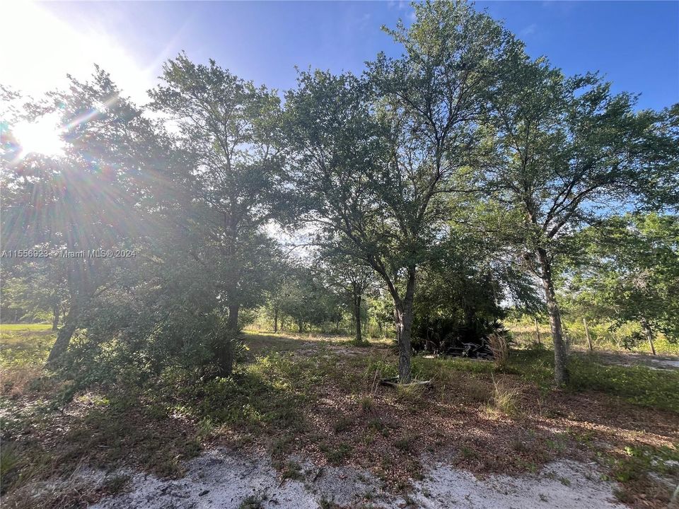 Active With Contract: $59,999 (1.25 acres)