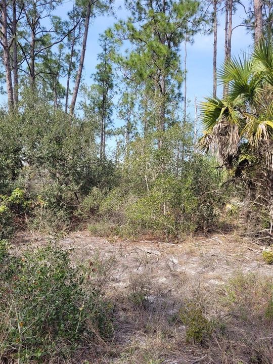 Active With Contract: $57,000 (1.25 acres)