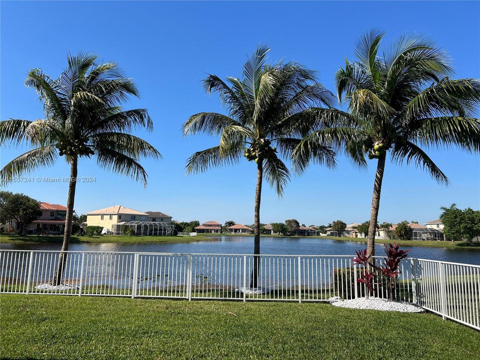 Such beautiful Lake Views with palm trees lining your new fence!