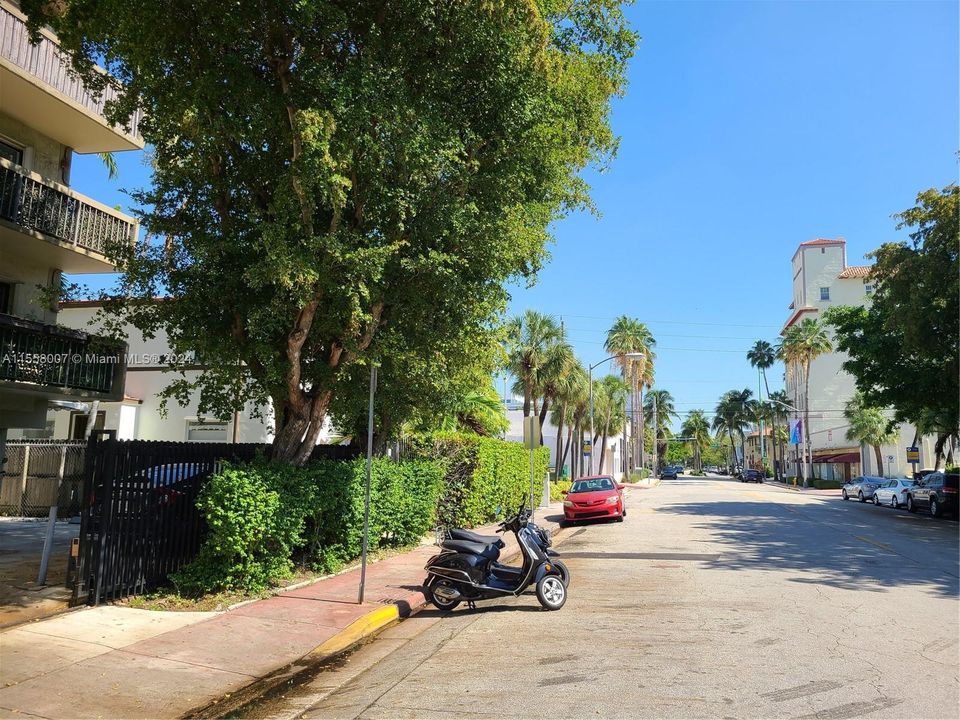 Quiet and wide street, steps from Lincoln Road