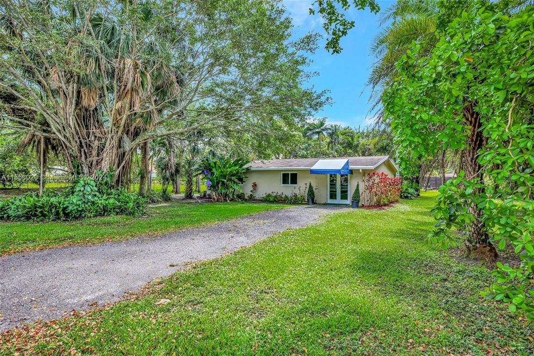 Long driveway for guest property