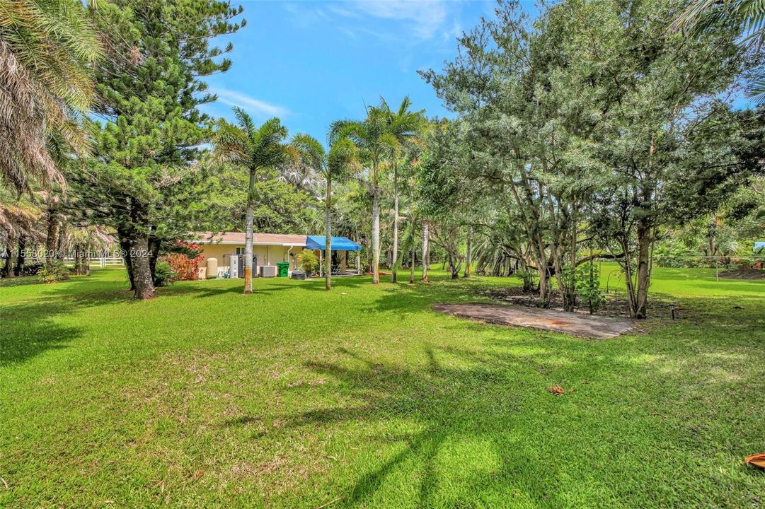 View toward guest house and garden