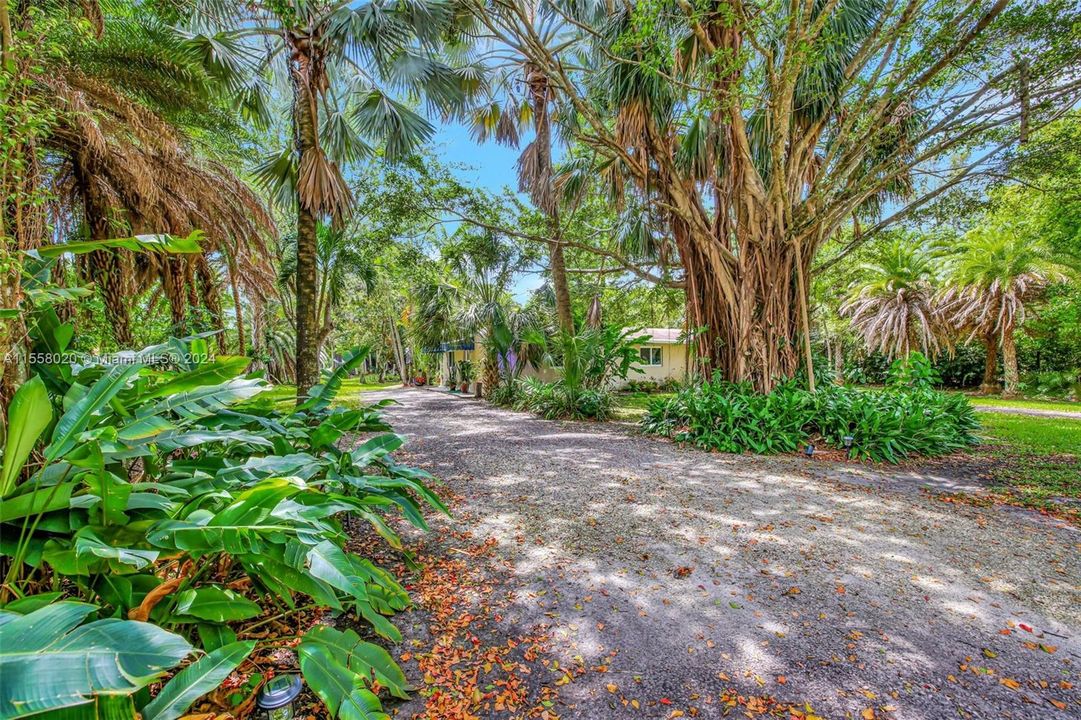 Feel like you're in Coconut Grove on this gorgeous lot