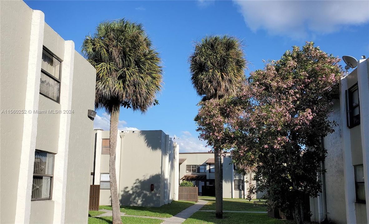 Недавно арендовано: $2,750 (3 спален, 2 ванн, 1192 Квадратных фут)