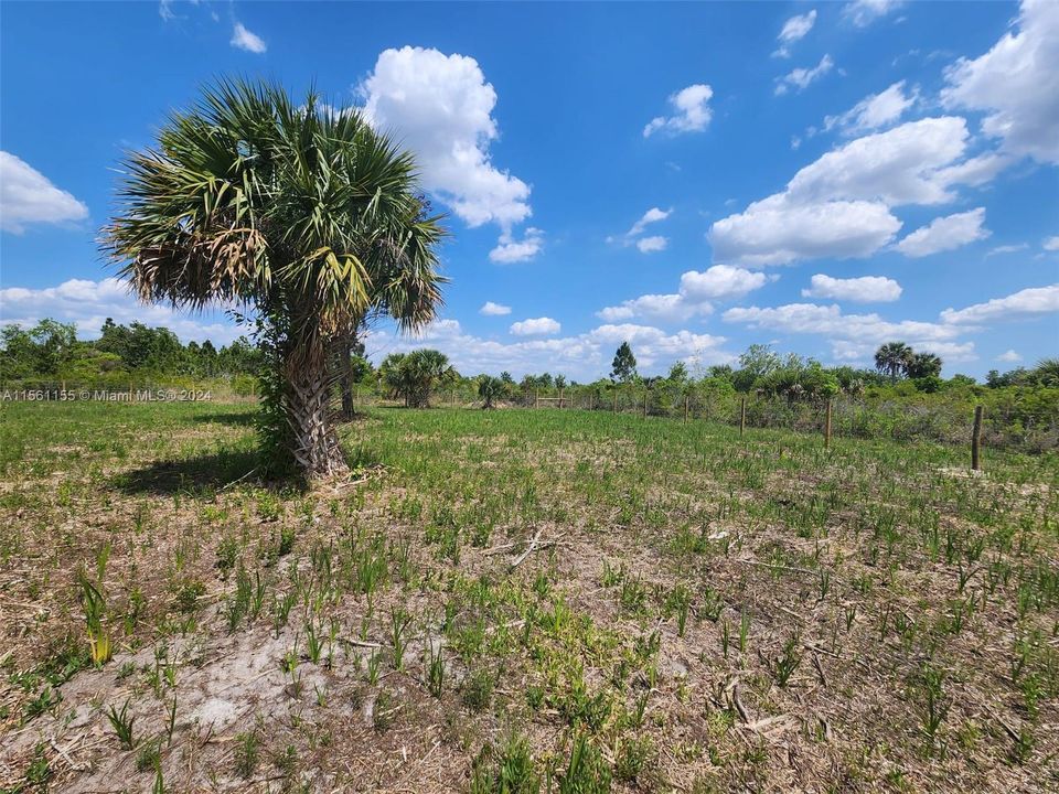 For Sale: $55,000 (1.50 acres)