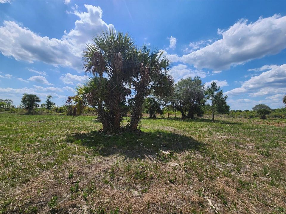 For Sale: $55,000 (1.50 acres)