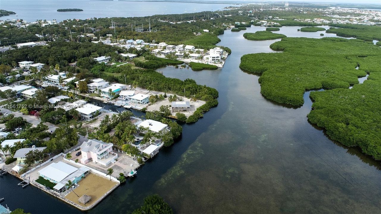 Discover the allure of 124 Bahama Road, Key Largo, FL. Here, stunning waterfront vistas merge with the tranquility of nature, offering quick access to the ocean—a haven for those seeking a waterfront lifestyle