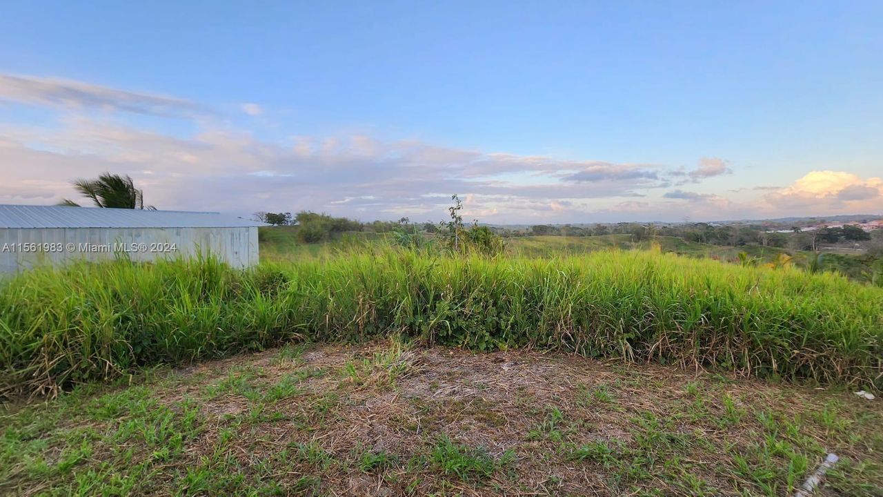 For Sale: $59,000 (0.30 acres)