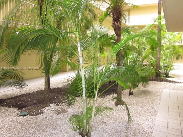 最近租的: $2,000 (1 贝兹, 1 浴室, 810 平方英尺)