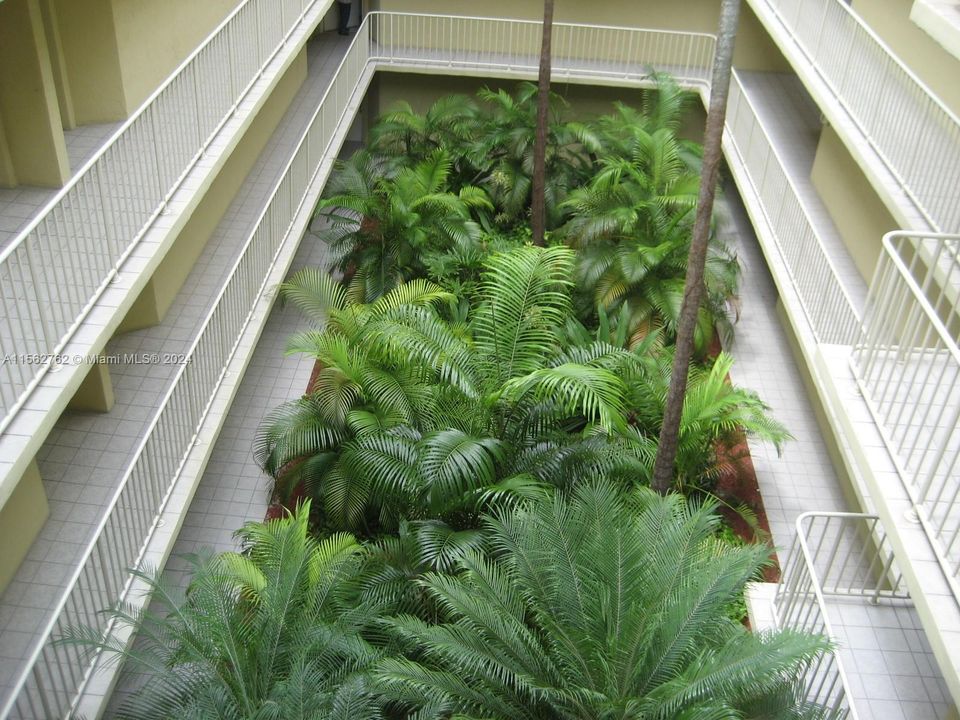 最近租的: $2,000 (1 贝兹, 1 浴室, 810 平方英尺)