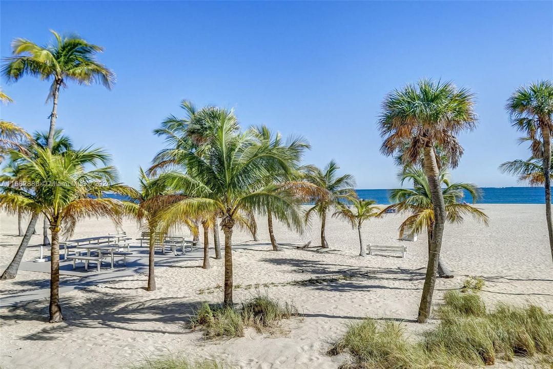 Your backyard, the widest part of Ft. Lauderdale Beach