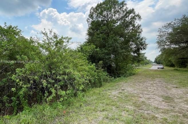 For Sale: $49,000 (1.25 acres)