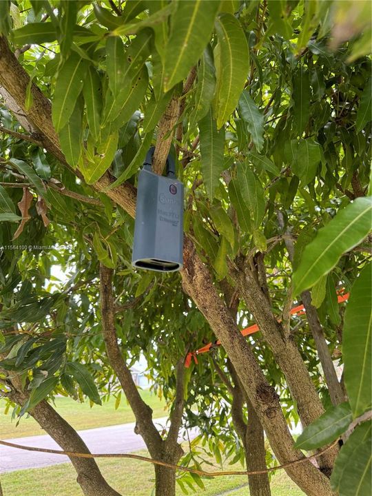 Недавно продано: $395,000 (4 спален, 2 ванн, 1796 Квадратных фут)