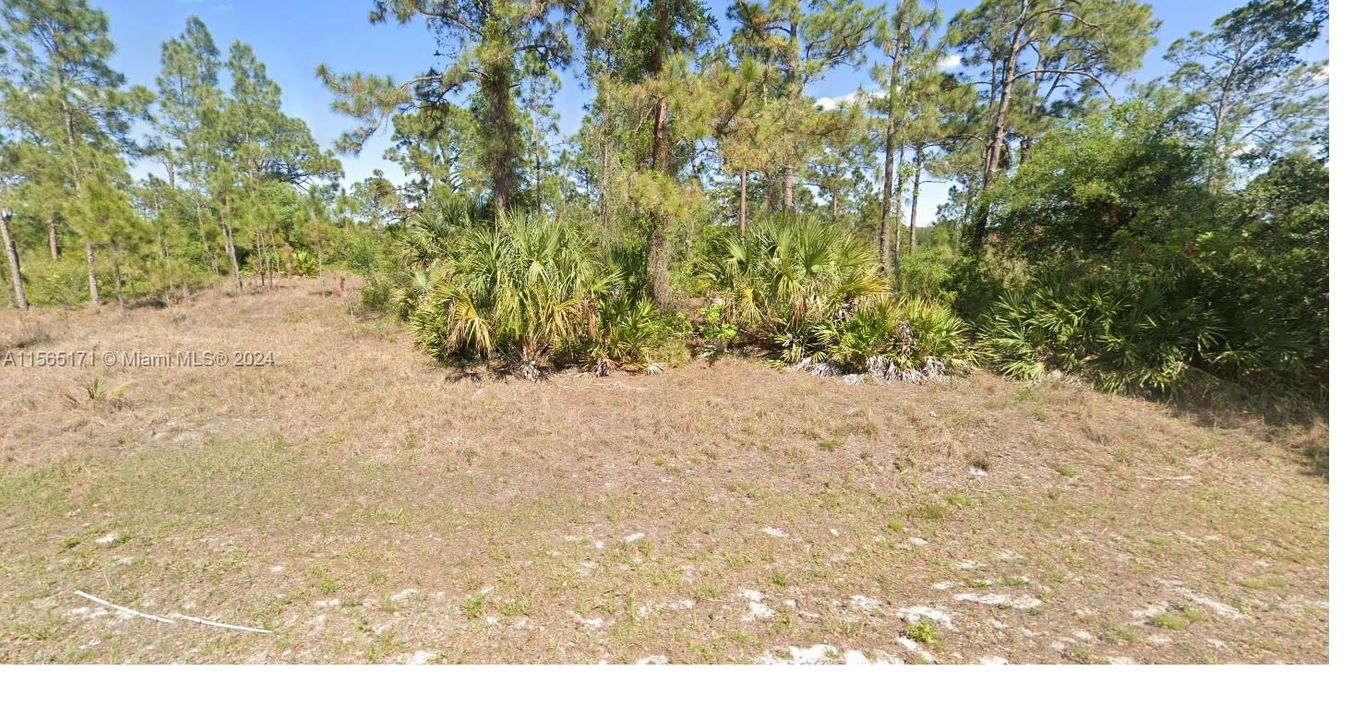 For Sale: $35,000 (0.50 acres)