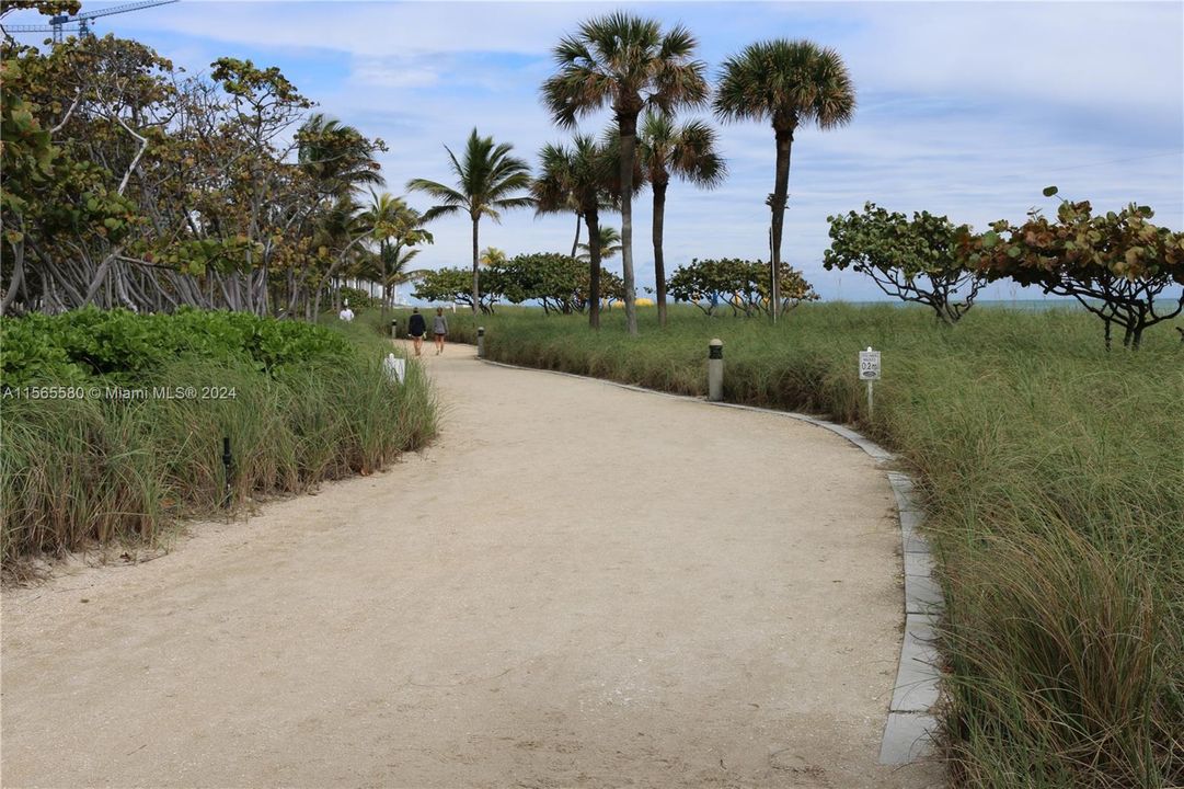 Bal Harbour Beach walking pad, goes to South Beach