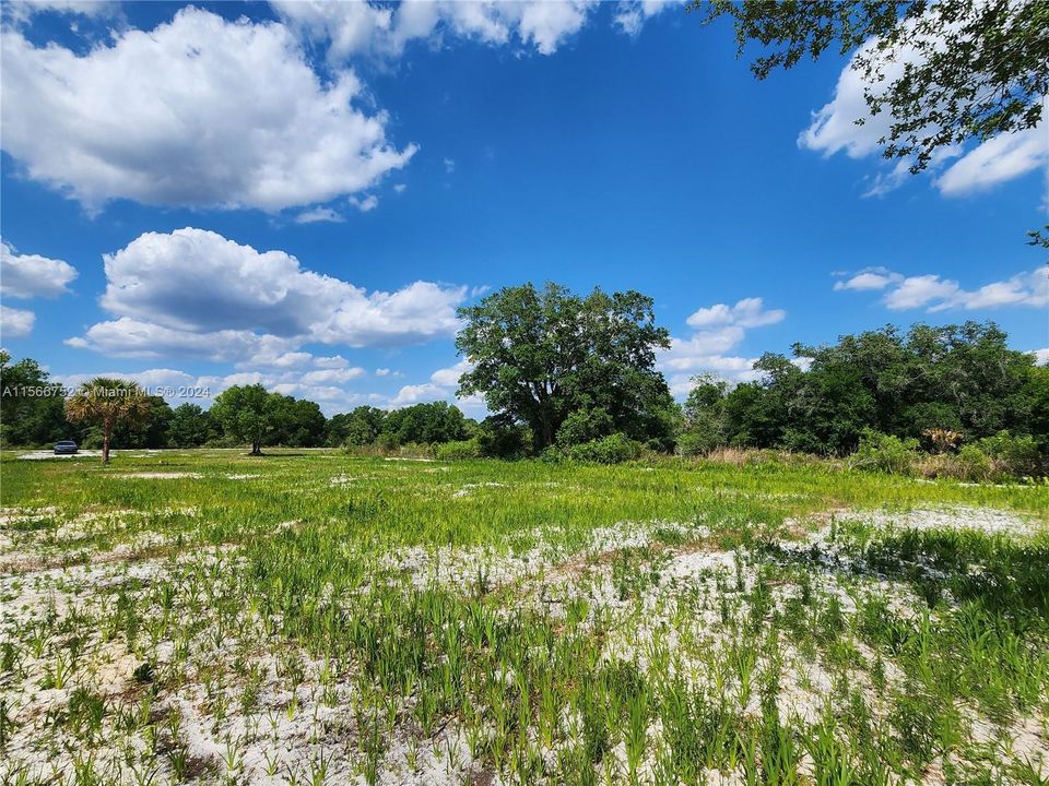 На продажу: $57,000 (1.25 acres)