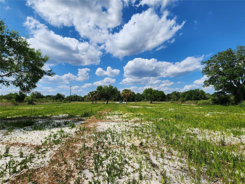 For Sale: $57,000 (1.25 acres)