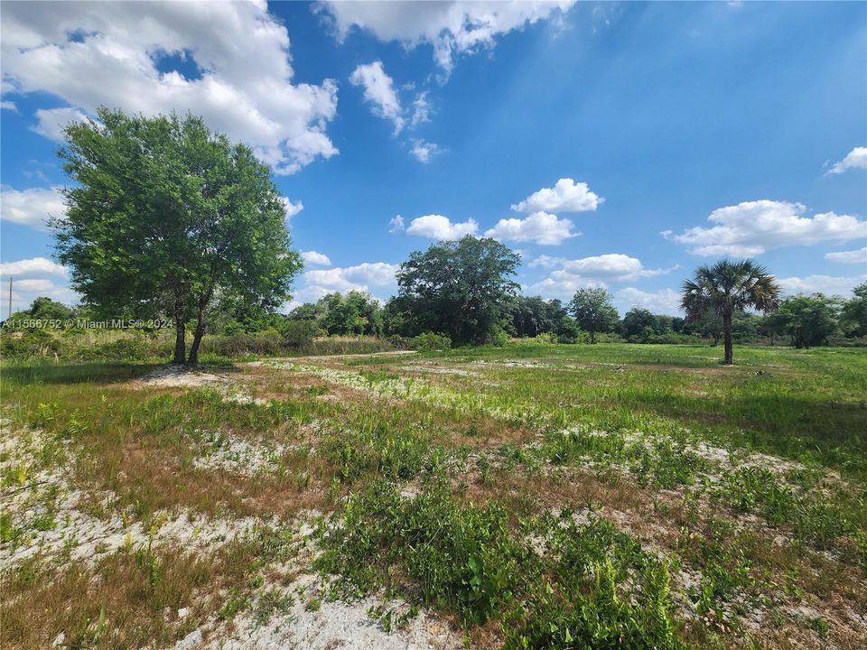 For Sale: $53,900 (1.25 acres)