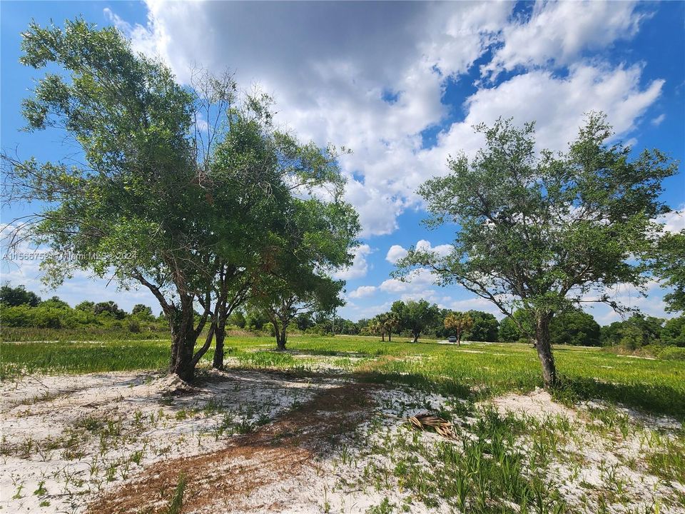 En Venta: $53,900 (1.25 acres)