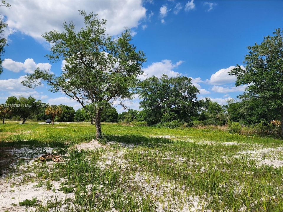 For Sale: $53,900 (1.25 acres)