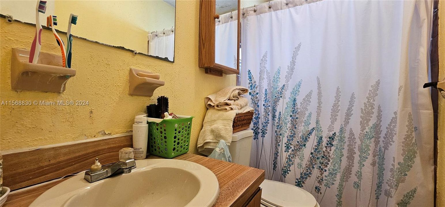 Owners Walk-in Shower