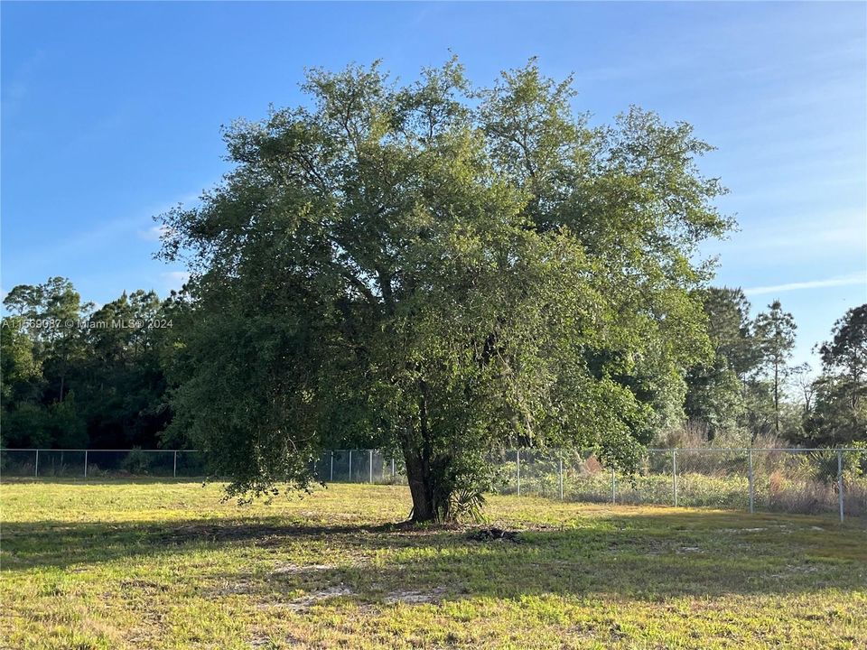 Recently Sold: $69,999 (1.09 acres)