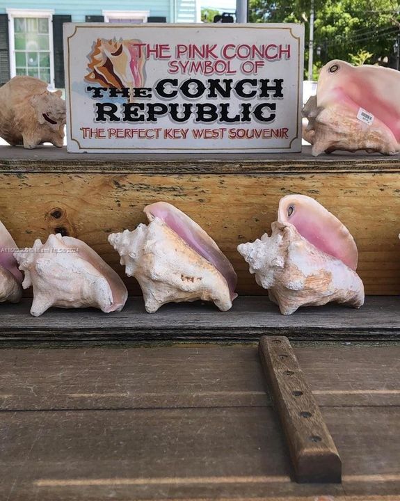 Your Key West Life is Calling! Live a Life less ... Ordinary... Become part of the Conch Republic