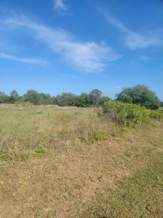 For Sale: $45,000 (1.09 acres)