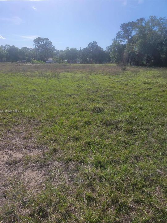 For Sale: $45,000 (1.09 acres)